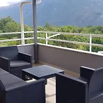 Oasis Zezevica
