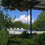 Oasis Zezevica