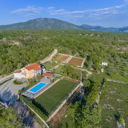 Oasis * Zezevica