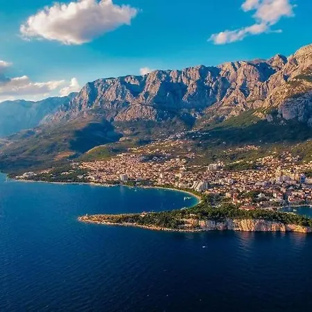 Oasis *