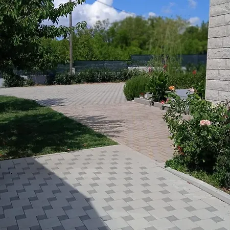 Oasis * Zezevica