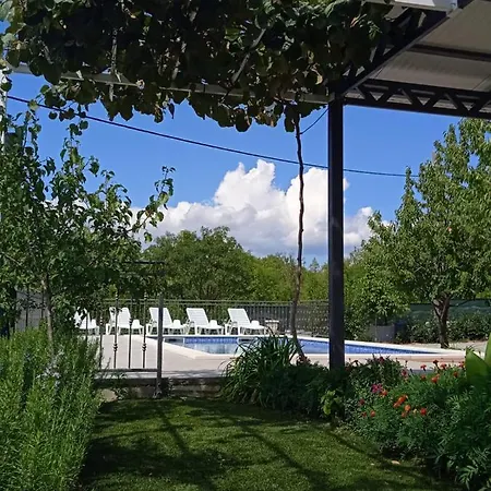 Oasis Zezevica