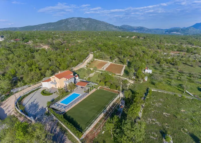 Oasis * Zezevica