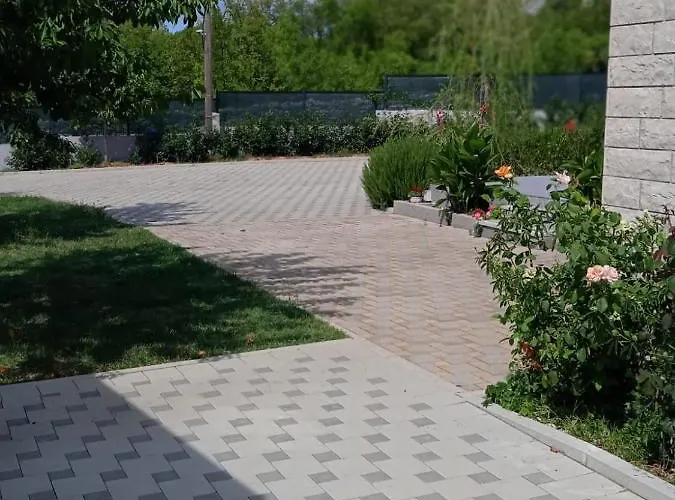 Oasis * Zezevica