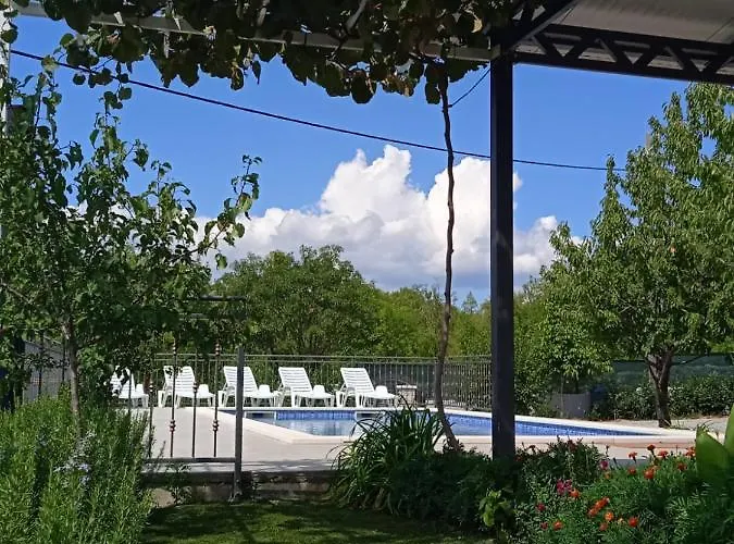Oasis Zezevica